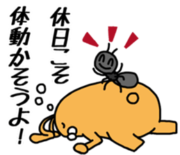 Orange rabbit sticker sticker #4093677