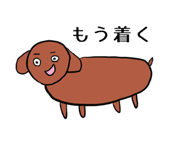 eyebrow/animal sticker #4094487