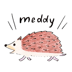 Meddy the hedgie