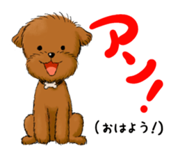 Aru The Toy Poodle. sticker #4097000