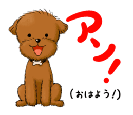 Aru The Toy Poodle. sticker #4097000