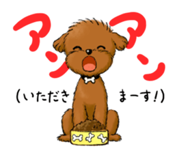 Aru The Toy Poodle. sticker #4097001