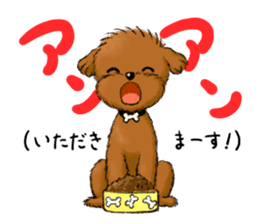 Aru The Toy Poodle. sticker #4097001