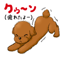 Aru The Toy Poodle. sticker #4097005