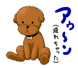 Aru The Toy Poodle. sticker #4097006