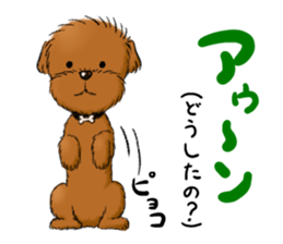 Aru The Toy Poodle. sticker #4097007