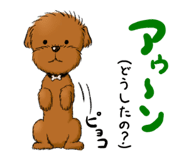 Aru The Toy Poodle. sticker #4097007