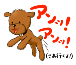 Aru The Toy Poodle. sticker #4097008