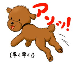 Aru The Toy Poodle. sticker #4097009