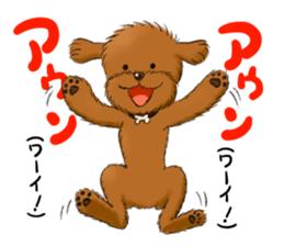 Aru The Toy Poodle. sticker #4097010
