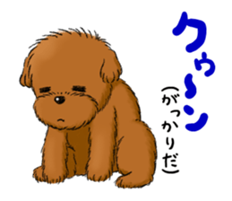 Aru The Toy Poodle. sticker #4097011