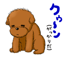 Aru The Toy Poodle. sticker #4097011