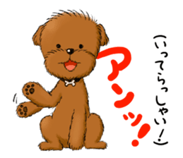Aru The Toy Poodle. sticker #4097013