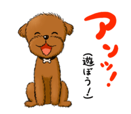 Aru The Toy Poodle. sticker #4097015