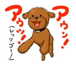 Aru The Toy Poodle. sticker #4097016