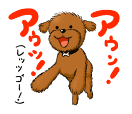 Aru The Toy Poodle. sticker #4097016