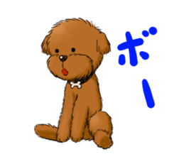 Aru The Toy Poodle. sticker #4097017