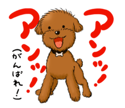 Aru The Toy Poodle. sticker #4097020