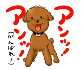 Aru The Toy Poodle. sticker #4097020