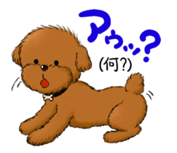 Aru The Toy Poodle. sticker #4097023