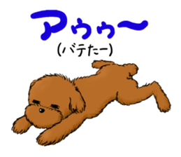 Aru The Toy Poodle. sticker #4097024