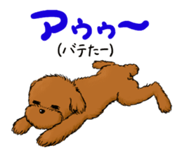 Aru The Toy Poodle. sticker #4097024
