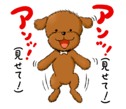 Aru The Toy Poodle. sticker #4097025