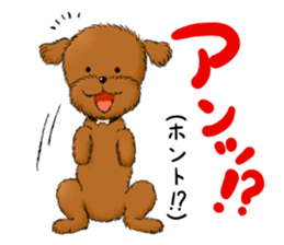 Aru The Toy Poodle. sticker #4097026