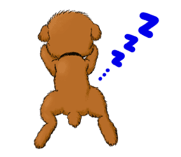 Aru The Toy Poodle. sticker #4097027