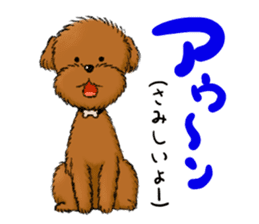 Aru The Toy Poodle. sticker #4097030