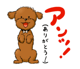 Aru The Toy Poodle. sticker #4097031