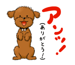 Aru The Toy Poodle. sticker #4097031