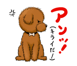 Aru The Toy Poodle. sticker #4097033