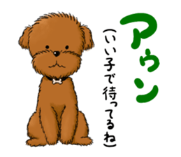 Aru The Toy Poodle. sticker #4097034