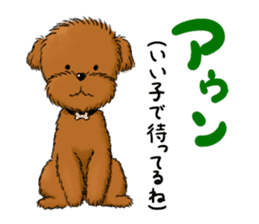 Aru The Toy Poodle. sticker #4097034