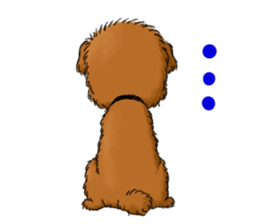 Aru The Toy Poodle. sticker #4097035