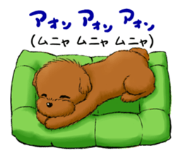 Aru The Toy Poodle. sticker #4097039