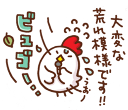 chicken reporter sticker #4097102