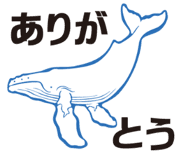 whale sticker vol.04 sticker #4097121
