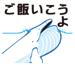 whale sticker vol.04 sticker #4097127