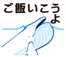 whale sticker vol.04 sticker #4097127