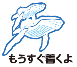 whale sticker vol.04 sticker #4097130
