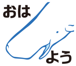 whale sticker vol.04 sticker #4097140