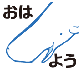 whale sticker vol.04 sticker #4097140