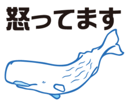 whale sticker vol.04 sticker #4097142