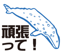 whale sticker vol.04 sticker #4097146