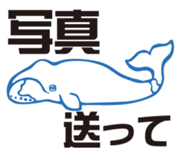 whale sticker vol.04 sticker #4097148