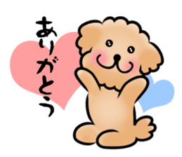 Poodle with 365 days sticker #4098121