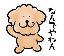 Poodle with 365 days sticker #4098125