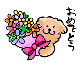 Poodle with 365 days sticker #4098127